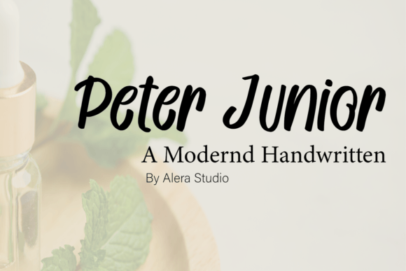 Peter Junior Font for Web Design